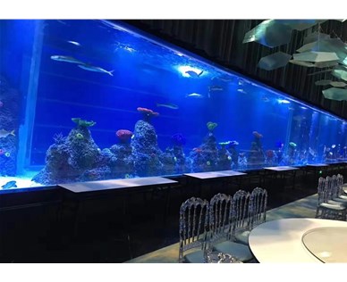 海洋餐厅需要什么样的照明设备？
