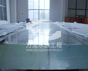 大型鱼缸的维护操作是什么