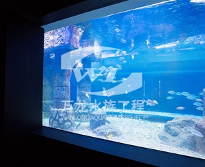 广州大型亚克力...