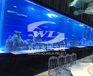 广州大型亚克力鱼缸