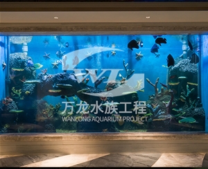 广州海底景观设计