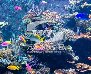 广州海底景观设计