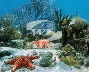 广州海底景观设计