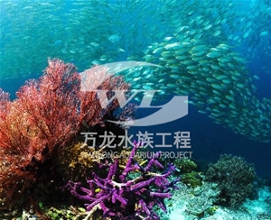 广州海底景观设计