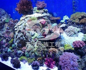广州海底景观设计
