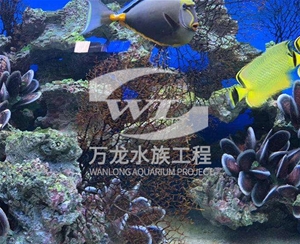 广州海底景观设计
